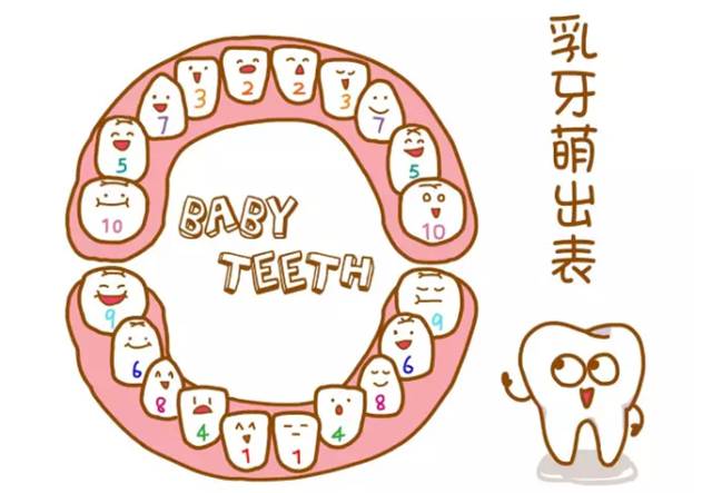 奶瓶龋对婴幼儿牙齿损害有多大,奶瓶龋主要发生在哪颗牙齿