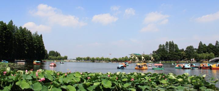 游广州东湖公园有感,东湖公园春夏秋冬的景色