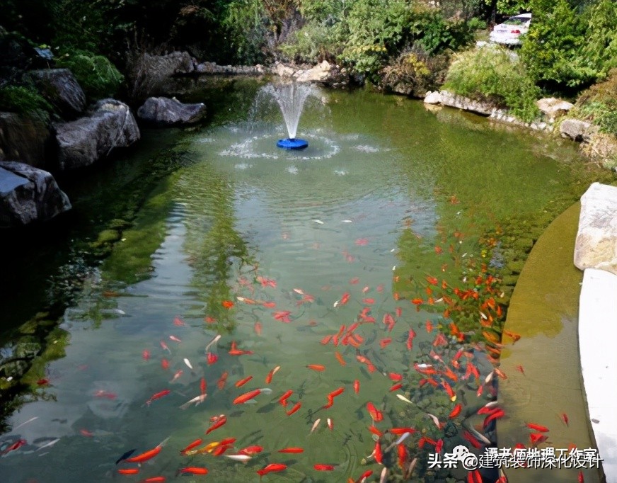 滨水生态景观修复案例图片,河流景观生态修复案例
