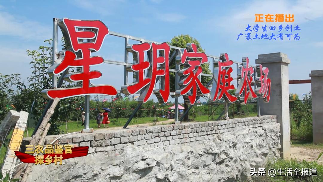 三农青年创业,返乡创业青年记录真实生活三农