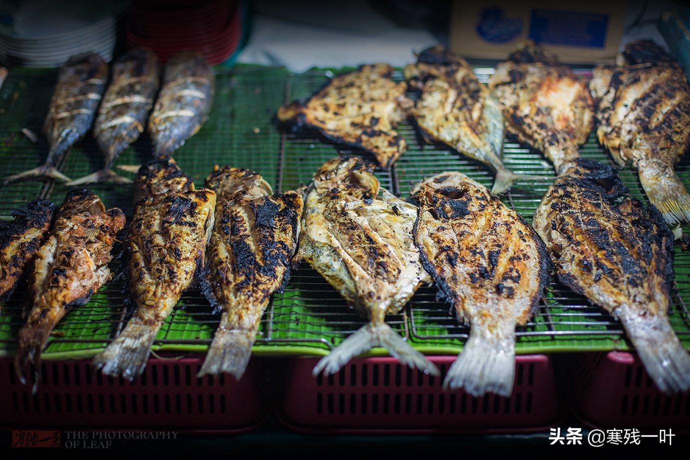 沙巴亚庇海鲜夜市,去马来西亚哪里海鲜最便宜