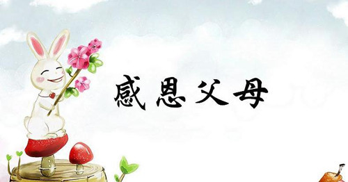 感恩父母作文150字左右中学,感恩父母的作文500字左右