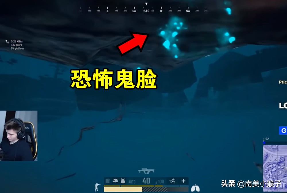 绝地求生的海里有什么？网红“鲲”上榜，你见过几个？