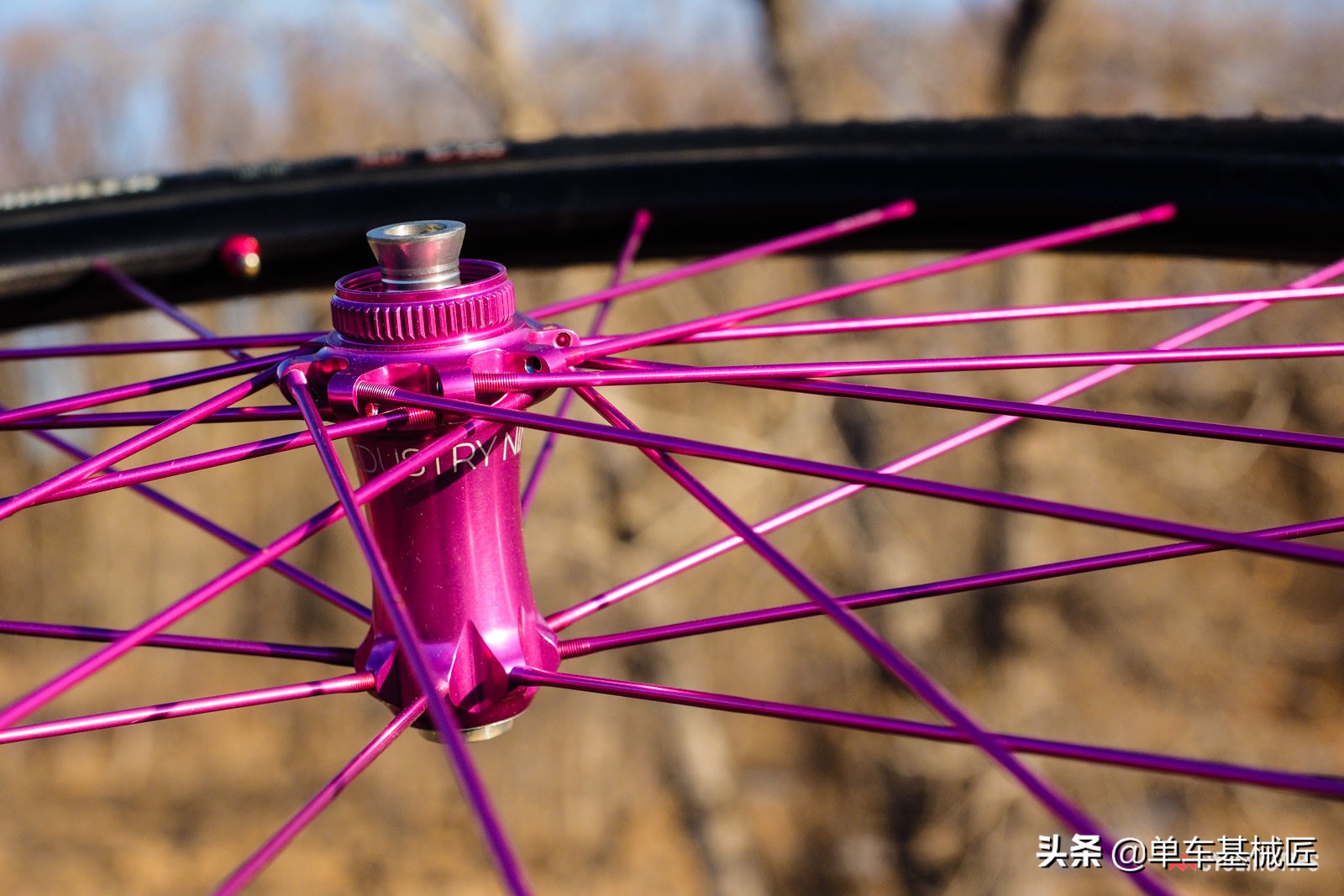 是什么赋予了这对轮组如此僵硬的骑行体验？是骚气的玫红色吗？