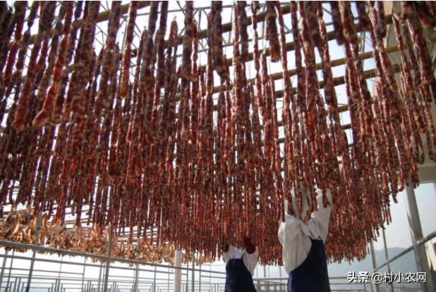 农村创业赚钱小项目生意,农村创业项目发家致富