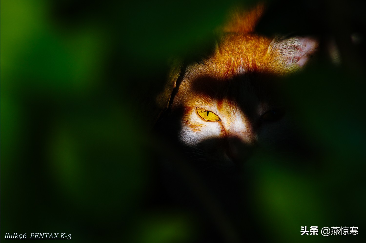 宾得相机配理光的镜头,宾得理光镜头推荐