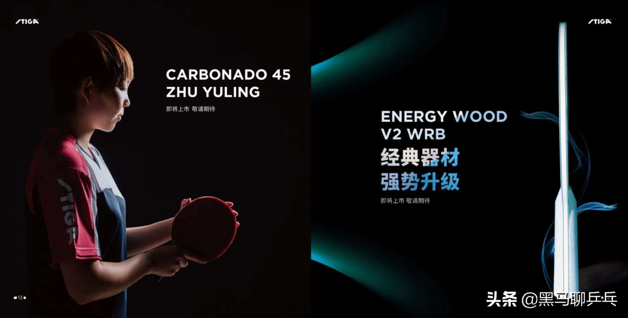 每周乒器观察57:大胖的“度数”,金标Vis,飞龙