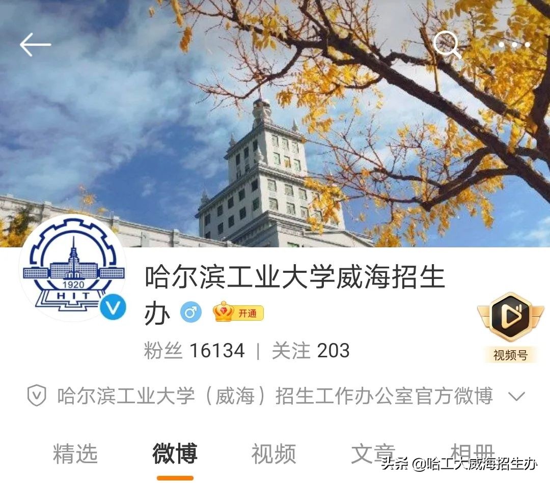 哈工大威海云咨询平台上线啦！qq咨询群、微信公众号、微博、抖音、bilibili……关注小招，获取更多招生资讯