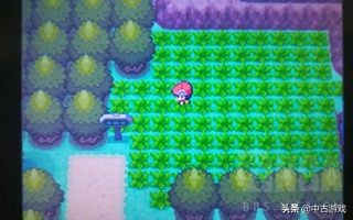 全网最全！《口袋妖怪》历代主系列游戏（精灵宝可梦）