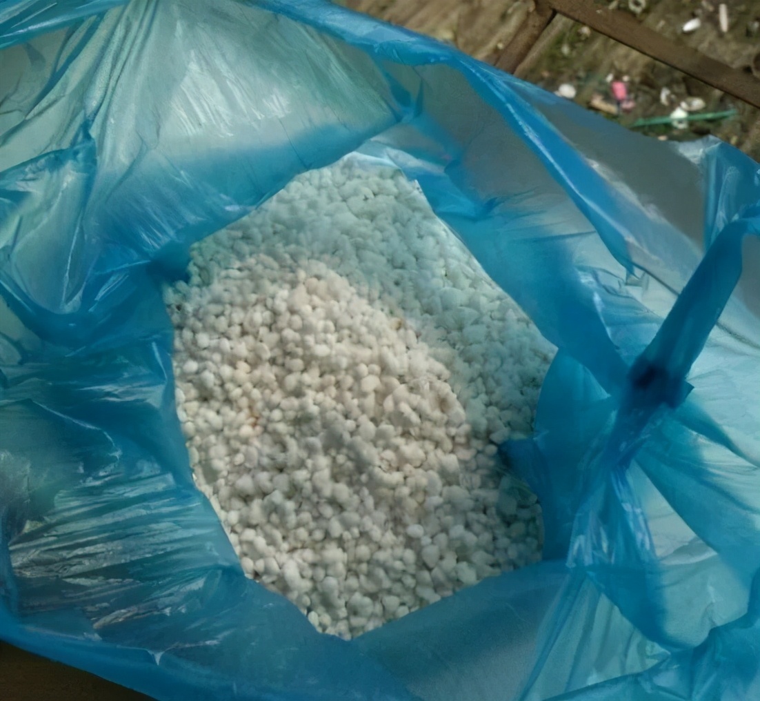 农村绿萝泛滥成灾,绿萝怎么防止烂根