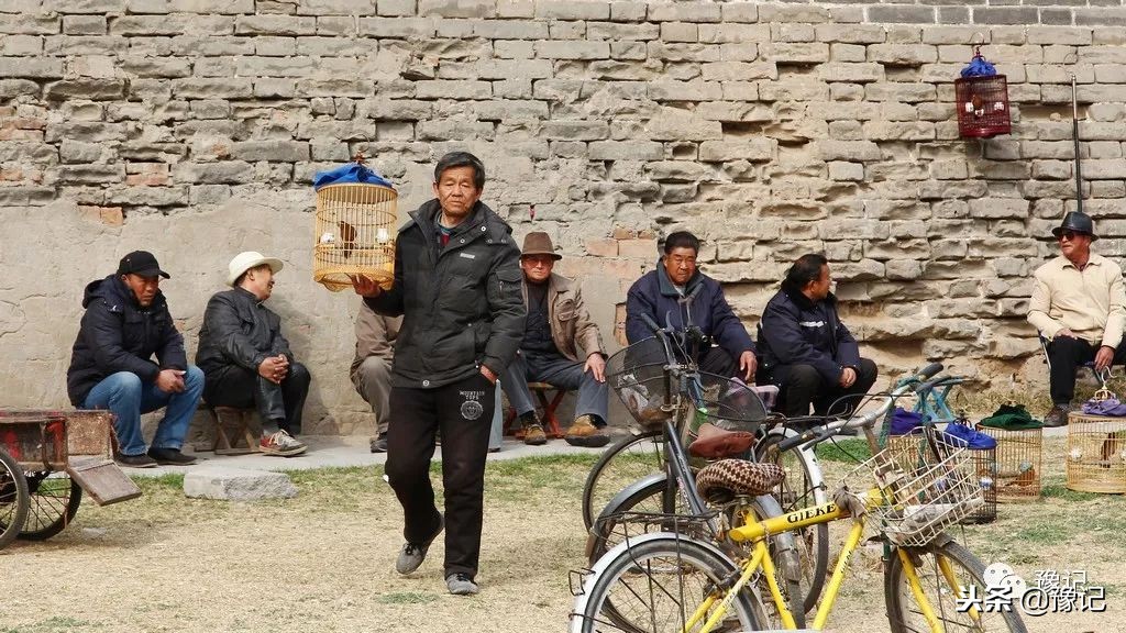 皇城根脚下,那是开封大爷遛鸟的天地