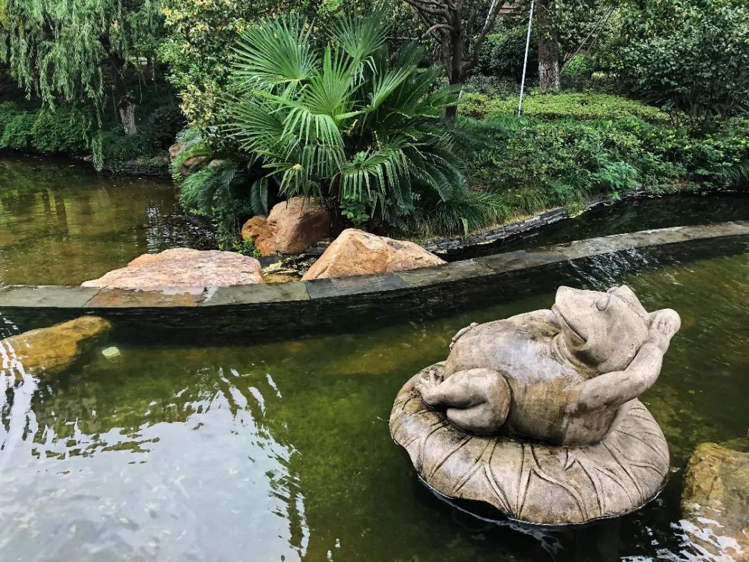 上千人带小板凳通宵排队买的万家花城，热带风情园林太经典