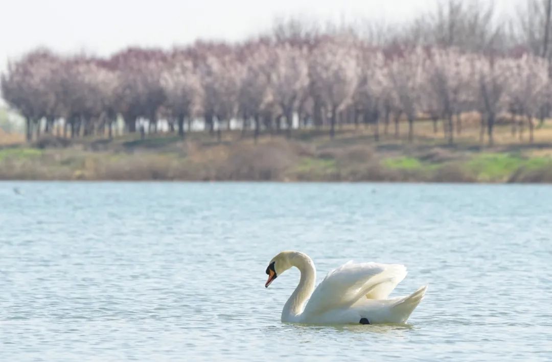 看看郑州的博物馆,郑州博物馆旅游