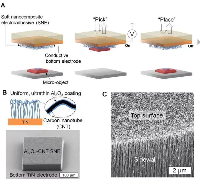静电力叠加原理图解,静电力叠加原理图示