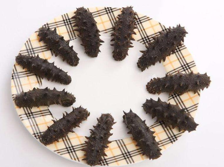 如何鉴别糖干海参,怎么辨别糖干海参和盐干海参