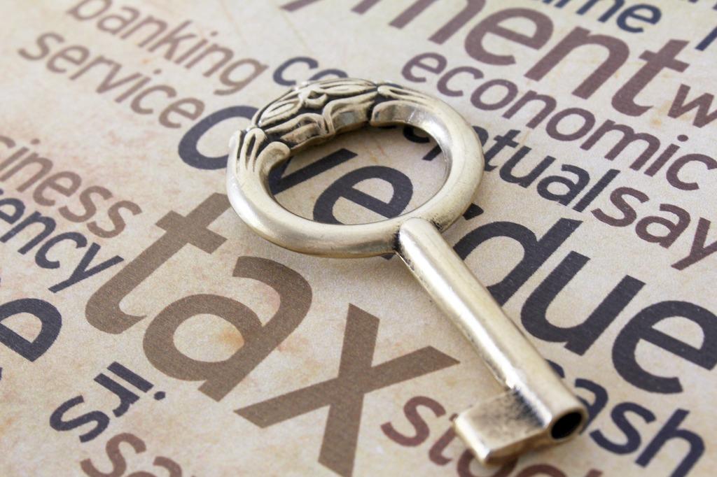 移民干货项目,美国移民资产报税政策