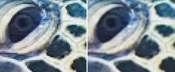 谷歌马赛克清除图片,谷歌马赛克清除