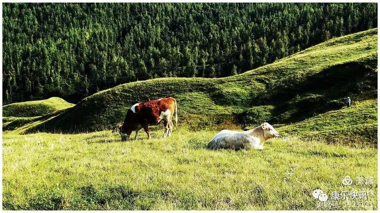美女摄影师眼里，九月的康乐是这样的