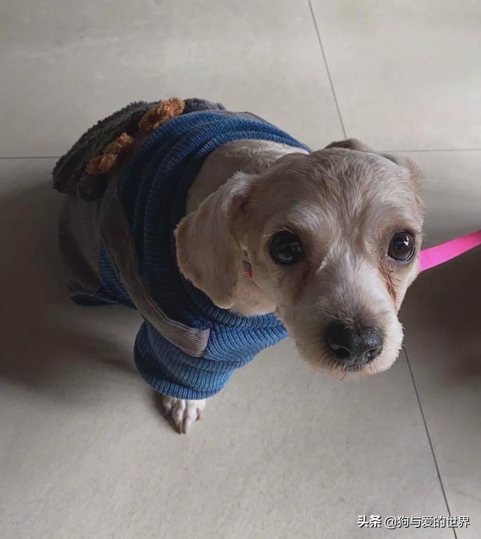 尔冬升怼哭郭敬明的时候 (尔冬升怼哭郭敬明是炒作吗)