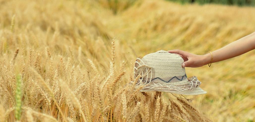 风吹麦浪诗词七绝,风吹麦浪诗词原创