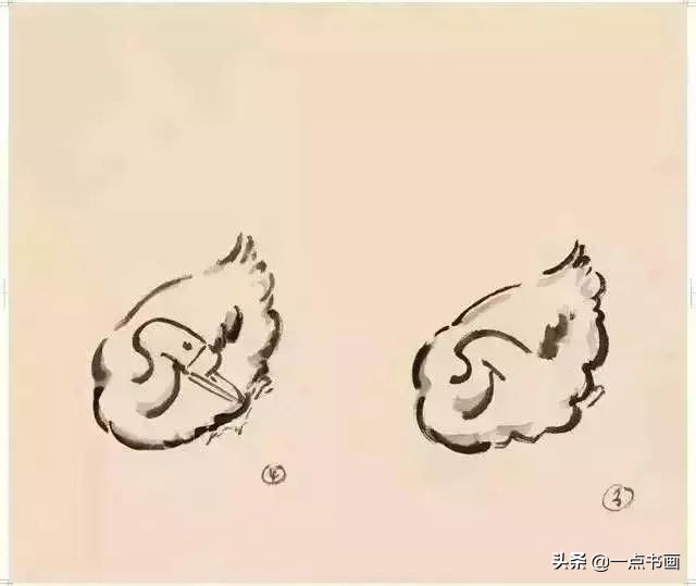 图文教程鹅的写意画法,鹅的简单画法教程