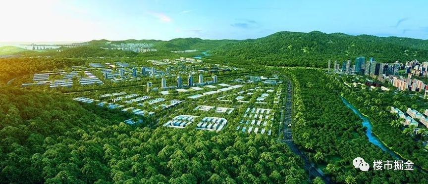 上海外地投资客,外地人投资客