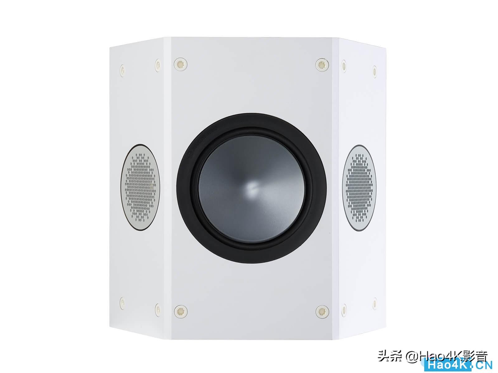 monitoraudio,monitoraudio鍔熸斁