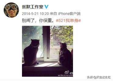 牛萌萌声明张默事件,张默牛萌萌恋情被证实