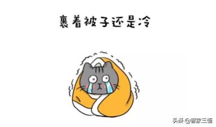 “速冻”的苏州，告别温度焦虑，这项黑科技将寒潮拒之门外