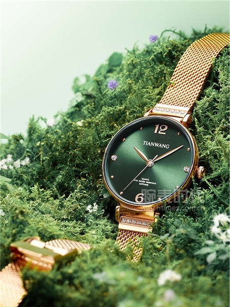 千元小绿表,小绿表10元以下