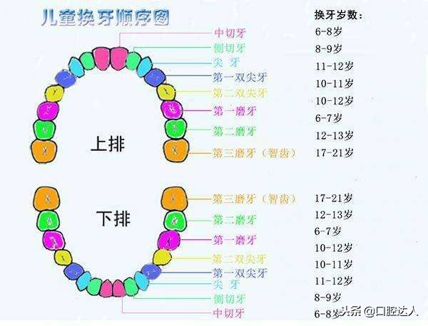 6岁的女孩换牙期注意事项,孩子要换牙了应该注意什么