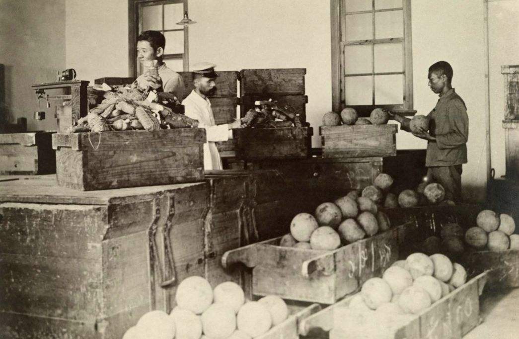 *片鸦**本是治病的良药,到底是如何变成*品毒**的?原来是使用方式变了