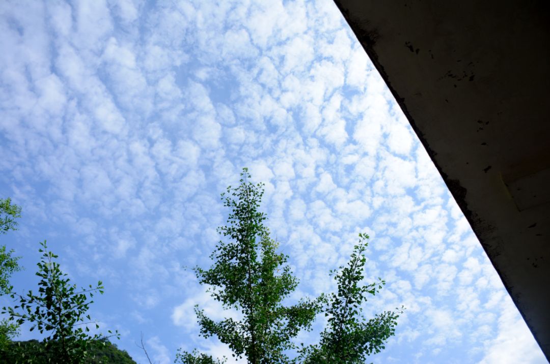 我们在距芜湖70公里的古坝村,找到了向往的生活