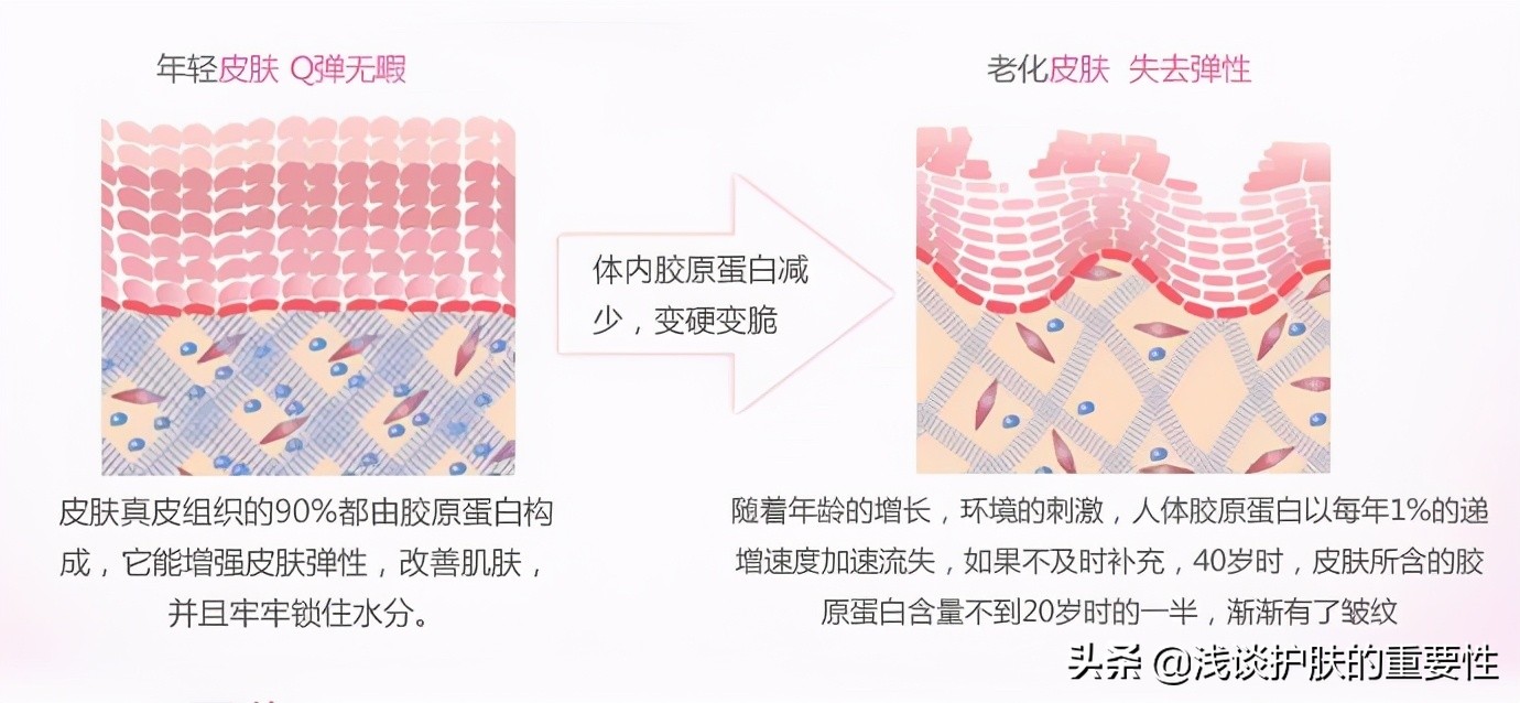 什么护肤品可以让皮肤变得细腻,护肤品怎么改善肌肤弹性