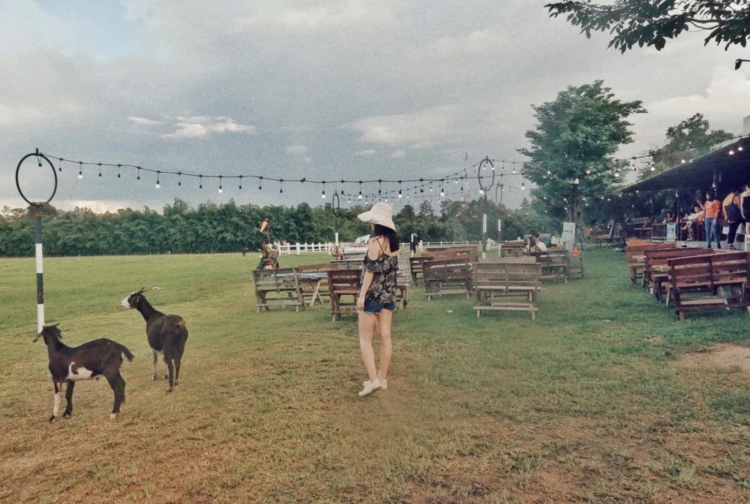 在泰国体验出家人生活,在泰国体验岛民生活