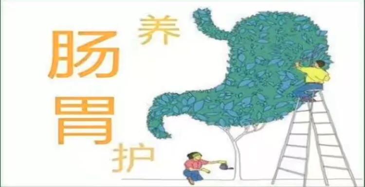 胃不好教你如何科学养胃,胃不好冲什么喝比较养胃