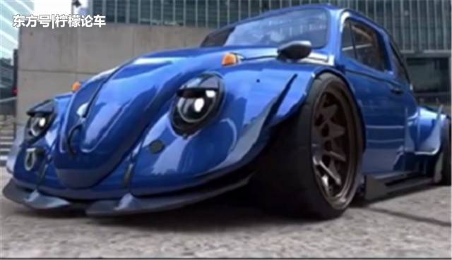 战斗款甲壳虫,甲壳虫战斗甲壳虫