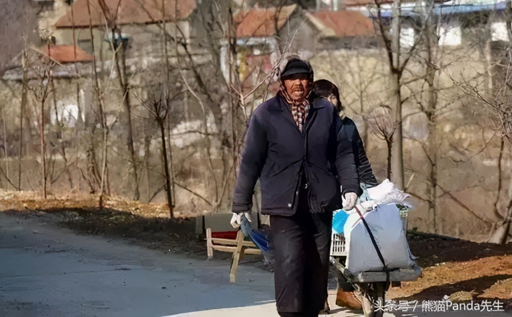 散文落叶片段,散文落叶歌曲