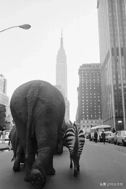 杨东平好的教育不与学生为敌,杨东平每一个孩子都有学习的能力