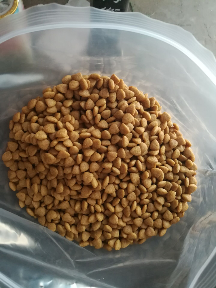 狗狗美毛选哪款狗粮,益生臻选狗粮怎么样