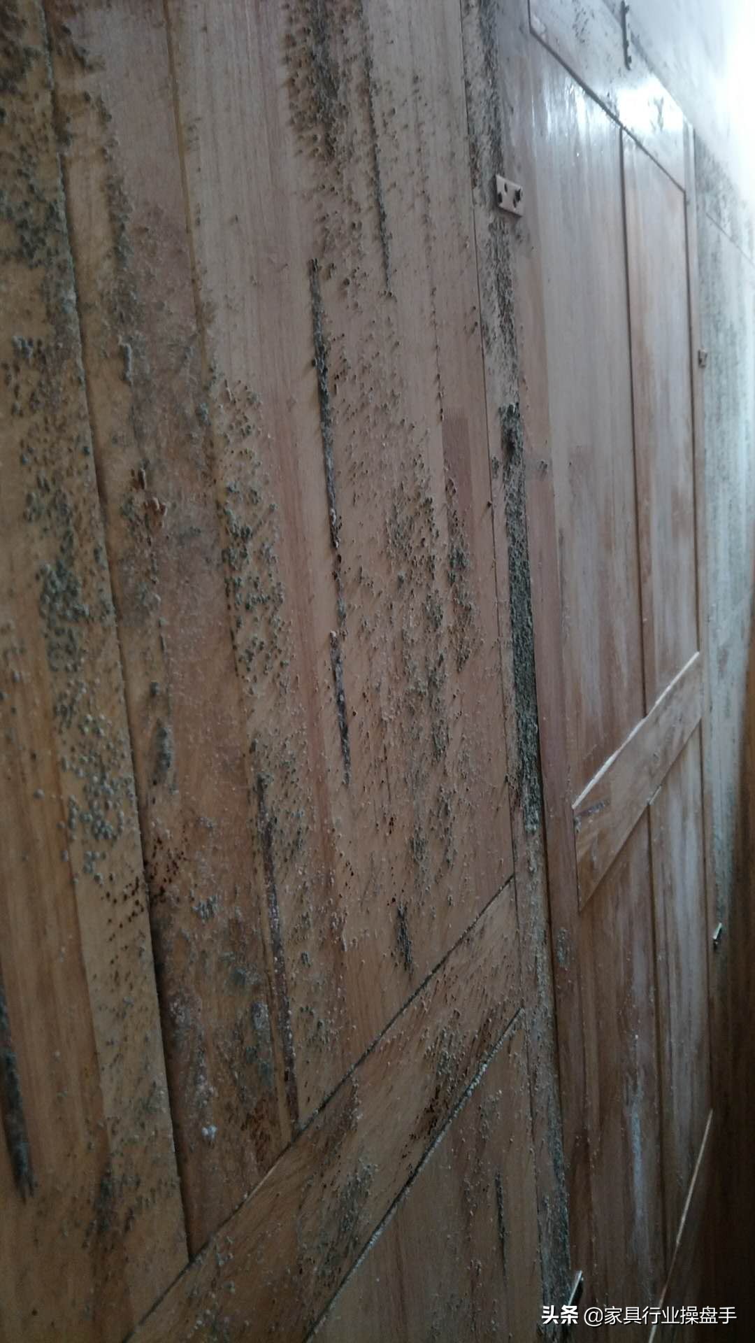 实木为什么要起霉,实木有霉点怎么处理