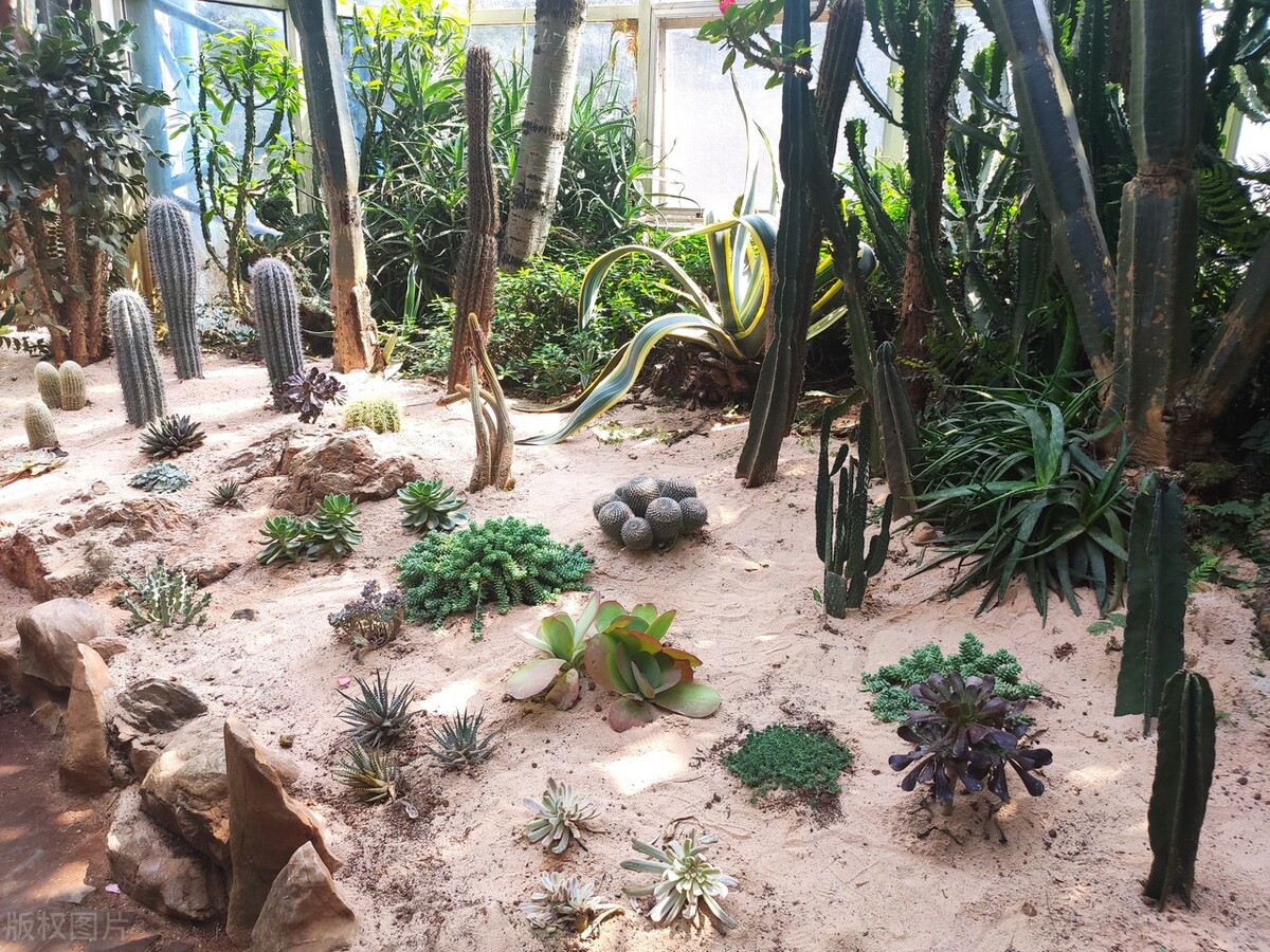 昆明世博园是免费参观的吗,第一次来昆明的感受