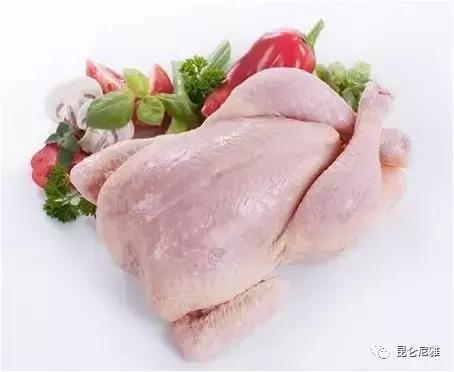 尼雅黑鸡是土鸡吗,尼雅黑鸡苗乌鲁木齐哪里售卖