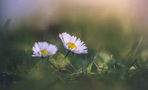 说说不吃早餐的好处,不吃生冷的说说