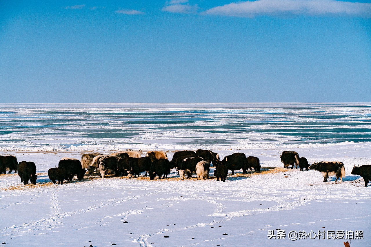 两个小伙去西藏,两个小伙在野外游玩