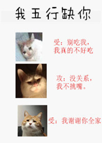 玄学风水爱情文,类似论以貌取人的风水文