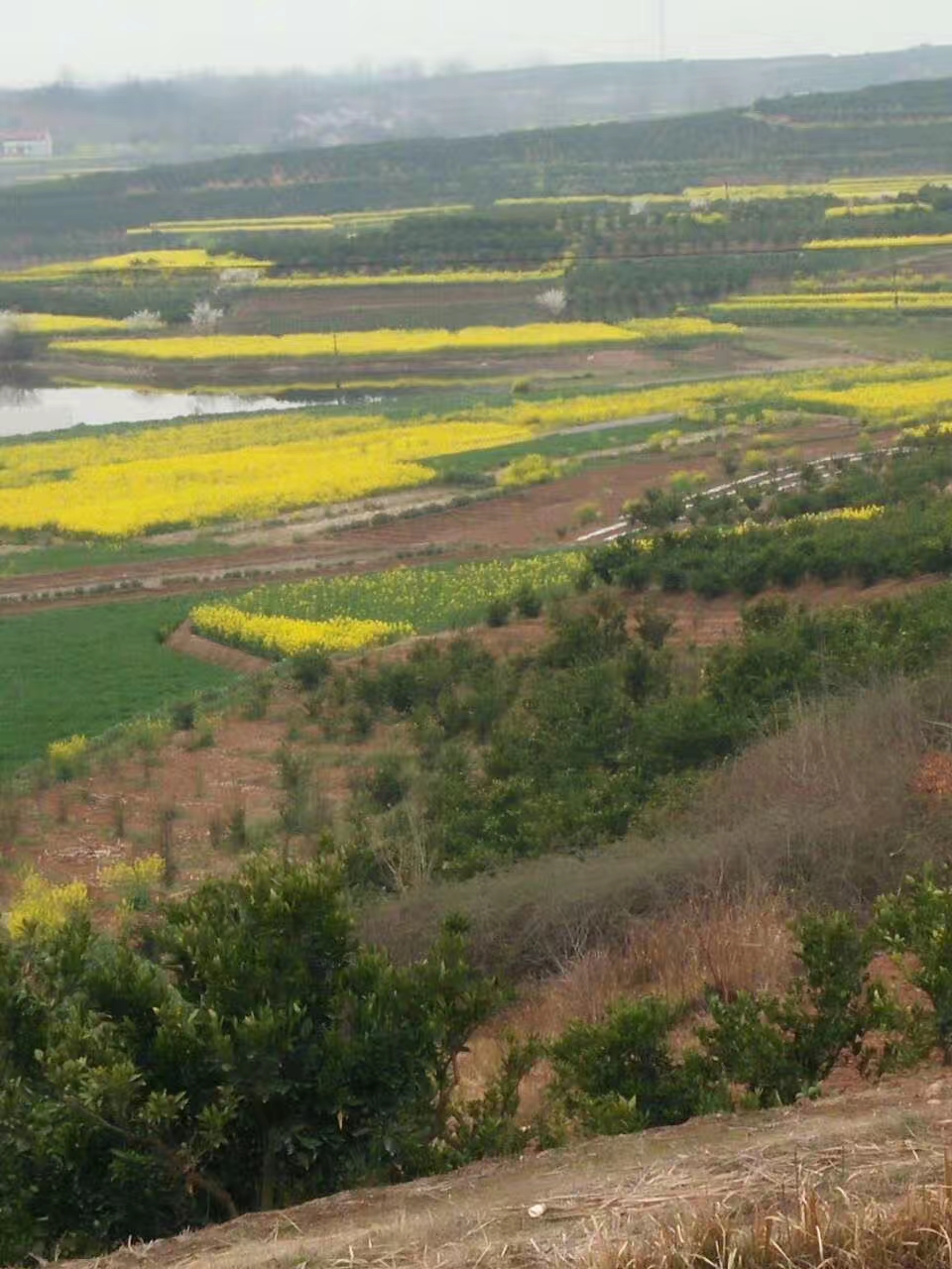 北漂回老家看父母的真实感受,北漂回家感慨