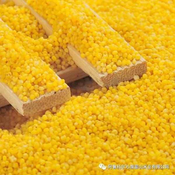 富山小米你了解吗？