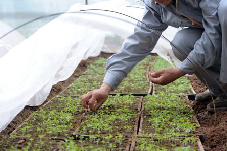 跑山猪原生态散养土黑猪,大山里的美食土鸡土鸭
