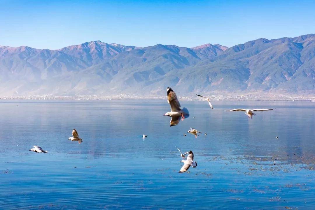 他建了一个3000㎡的浪漫花园，情侣不远千里只为一场草坪婚礼